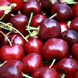 空運櫻桃精裝盒 精選西北櫻桃(每顆比五十元硬幣還大) 特價：$229