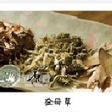 益母草滴雞精【60cc裝20包入 新配方