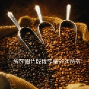 5920 專業咖啡 新鮮烘焙 經典曼巴 咖啡豆 450G/包 專業烘焙 ! ! 訴求新鮮 ! !