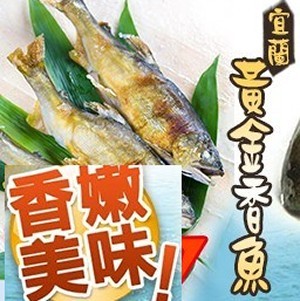 宜蘭黃金香魚