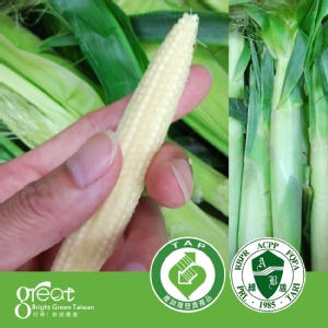 終極鮮嫩~水果玉米筍