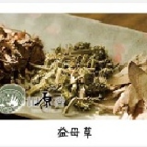 益母草滴雞精【60cc裝20包入