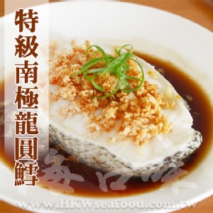 南極深海龍圓鱈片