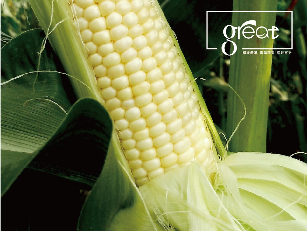 鮮綠嚴選 當季蔬果產地直送。
