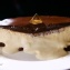 比利時巧克力融心乳酪蛋糕(原味)