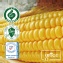 太棒!無毒超級甜玉米