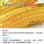 黃金超級甜玉米棒禮盒-10入