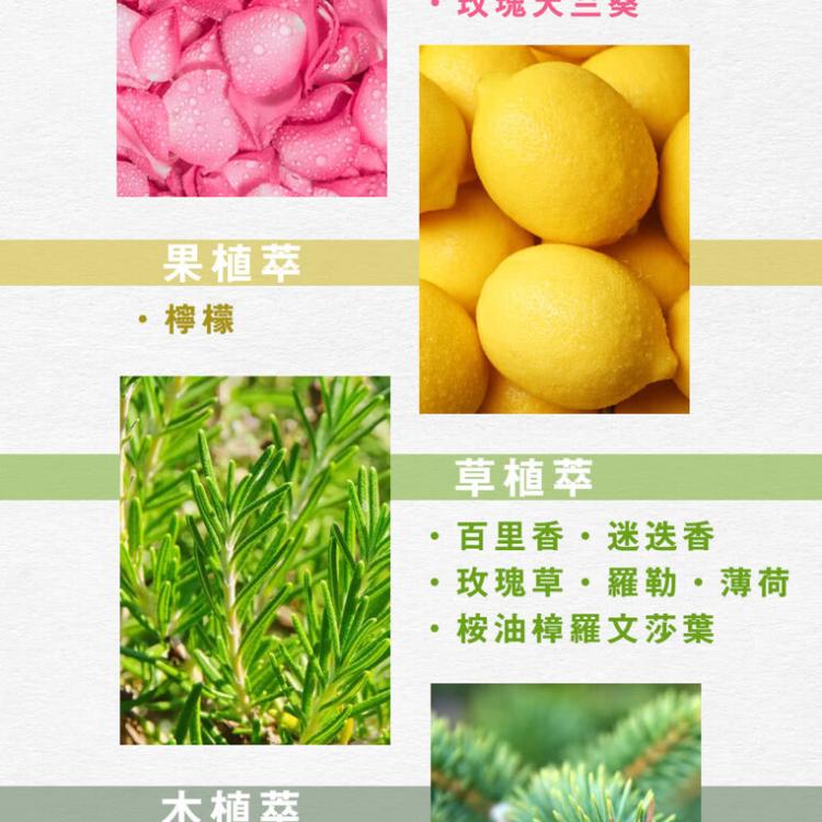 【德國webner葦柏納】 升級版森呼吸精油(0201381)〔小資屋〕