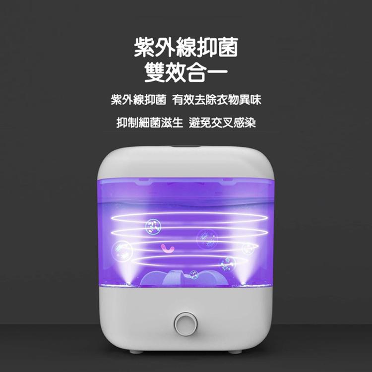 【LY 立元】歌者迷你洗衣機 蔬果清洗兩用機(USB插電款)