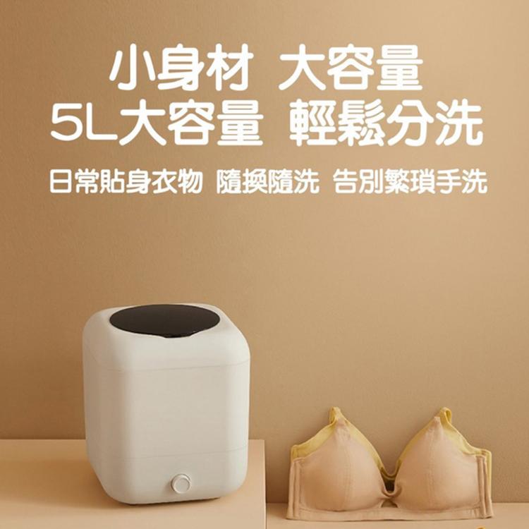 【LY 立元】升級款歌者迷你洗衣機 蔬果清洗兩用機(USB充電款)