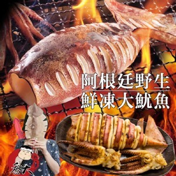 野生鮮凍大魷魚