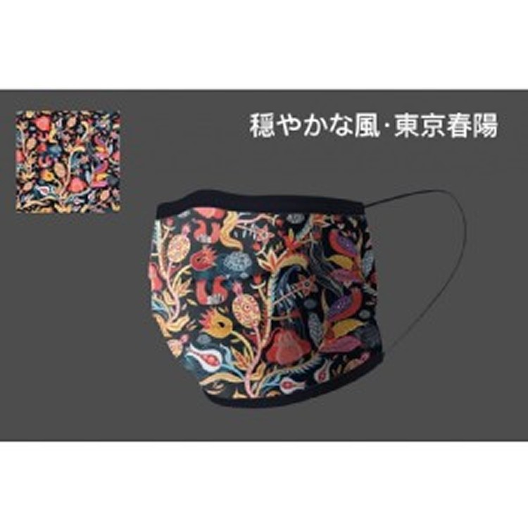 荷康-東京春陽成人一次性口罩-30入精裝版/盒