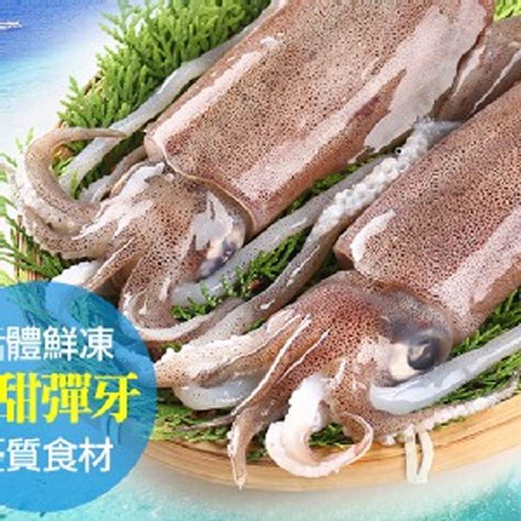 野生鮮凍天使軟絲250g