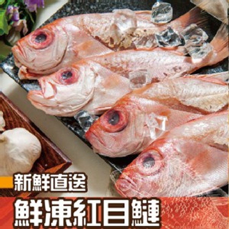 野生鮮凍紅目鰱