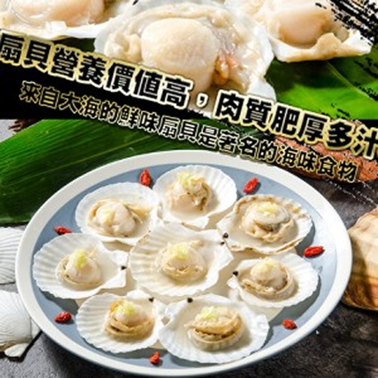 大扇貝 (約9-10顆)【買1送1】