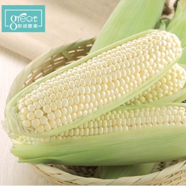 【鮮綠農業】尚青ㄟ白水果玉米