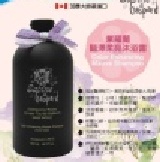 ＊辛巴屋＊加拿大進口＊莎賓與嘉思帕 貓狗洗澡 紫羅蘭豔澤柔亮沐浴乳 10L 慶開幕！此商品下單免運費！