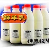 錦湖庄鮮羊乳 全台獨家、鮮奶、鮮乳、鮮羊奶、山羊奶、山羊乳