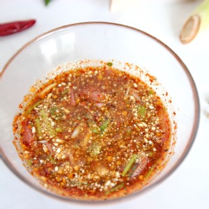 H6 酸子沾醬 (純醬不附粉)