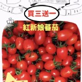 紅新娘蕃茄-買三盒送一盒