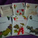 SCENTS HILL大香氛包 新香味6入