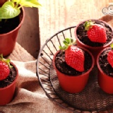 【木匠手作】盆栽提拉米蘇-大湖草莓限定版