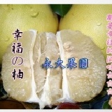 正宗麻豆蜜白柚(幸福の柚) 麻豆永大果園(每箱20斤裝)