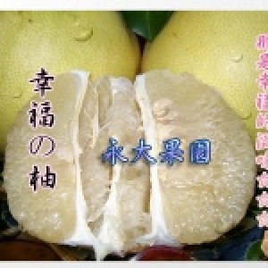 正宗麻豆蜜白柚(幸福の柚) 麻豆永大果園(每箱十五斤裝)