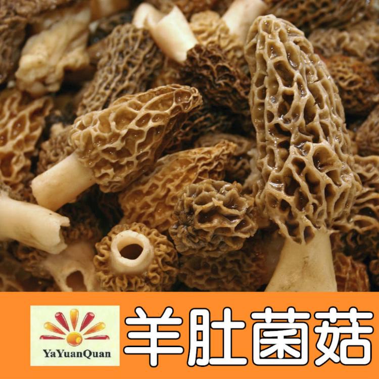 【亞源泉】羊肚菌菇 50g/包 羊肚菌 特級菌菇