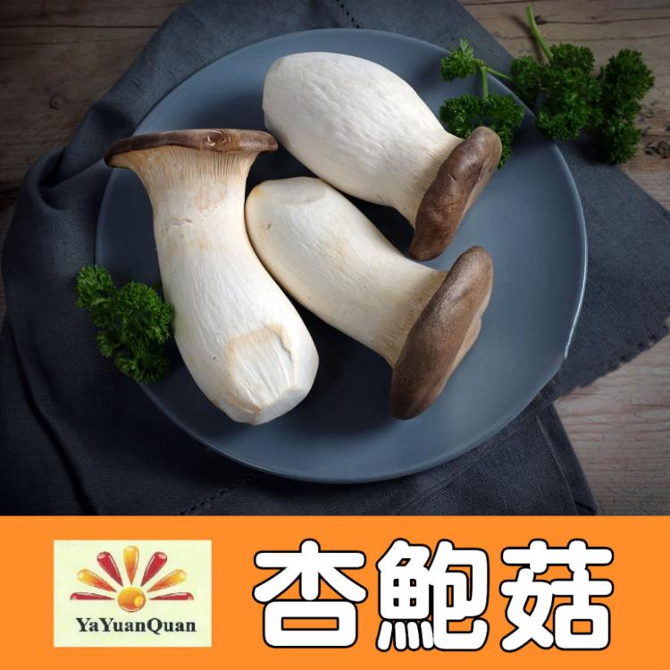 【亞源泉】杏鮑菇 100g/包 乾杏鮑菇