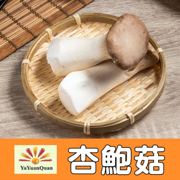 【亞源泉】杏鮑菇 100g/包 乾杏鮑菇