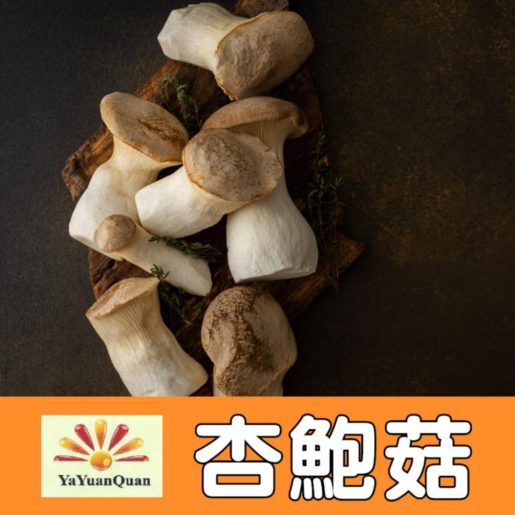 【亞源泉】杏鮑菇 100g/包 乾杏鮑菇