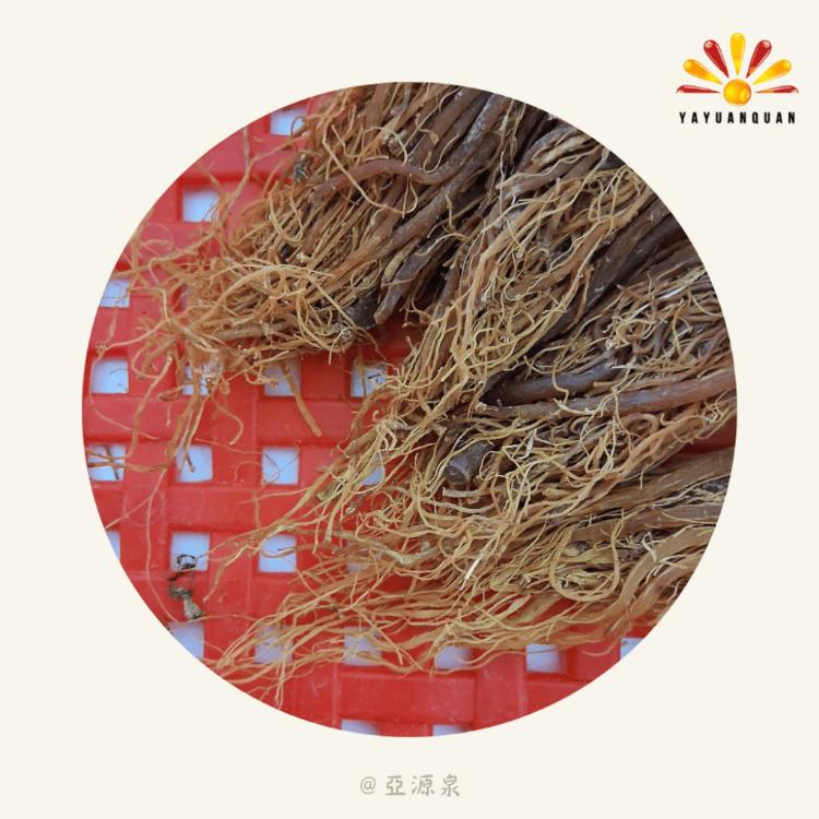 【亞源泉】 紅參鬚禮盒 600g/盒