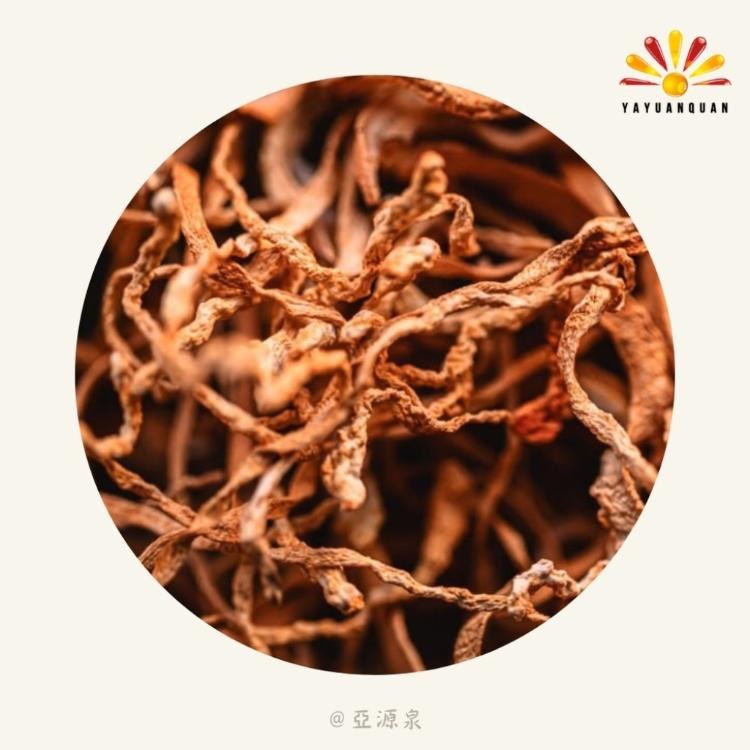 【亞源泉】北蟲草 200g/包 黃金蟲草 蟲草花 蛹蟲草