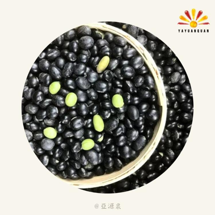 【亞源泉】青仁黑豆 800g/包 黑豆 豆中之王
