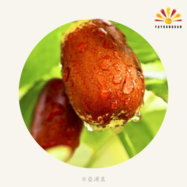 【亞源泉】頂級枸杞/紅棗 200g/包 枸杞茶 紅棗茶 兩種任選