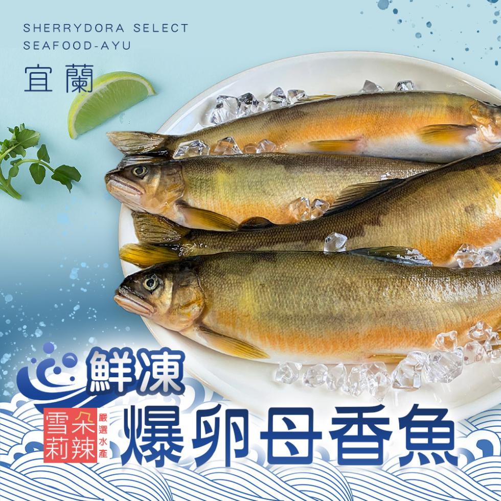 ② 鮮凍，爆卵母香魚,。