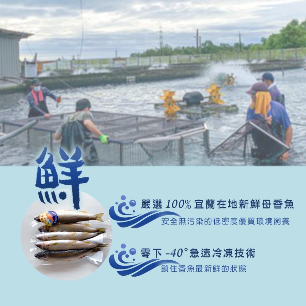 嚴選100%宜蘭在地新鮮母香魚，安全無污染的低密度優質環境飼養，零下-40°急速冷凍技術，鎖住香魚最新鮮的狀態。