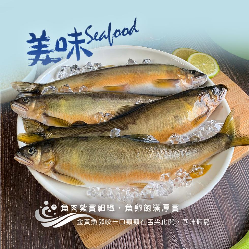魚肉紮實細緻,魚卵飽滿厚實，金黃魚卵咬一口顆顆在舌尖化開,回味無窮。