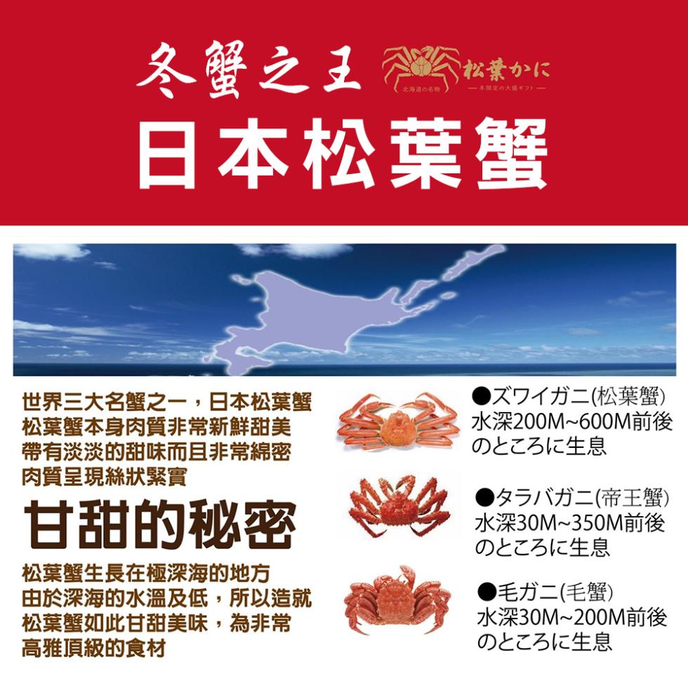 冬蟹之王教堂E，松葉かに，北海道的名称。日本松葉蟹，世界三大名蟹之一,日本松葉蟹，松葉蟹本身肉質非常新鮮甜美，帶有淡淡的甜味而且非常綿密，肉質呈現絲狀緊實，甘甜的秘密，松葉蟹生長在極深海的地方，由於深海的水溫及低,所以造就，松葉蟹如此甘甜美味,為非常