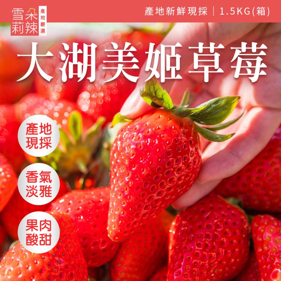  產地嚴選，大湖美姬草莓，產地新鮮現採1.5KG(箱)。