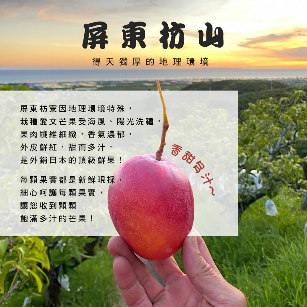 屏東枋山，得天獨厚的地理環境，屏東枋寮因地理環境特殊,栽種愛文芒果受海風、陽光洗禮,果肉纖維細緻,香氣濃郁,外皮鮮紅,甜而多汁,是外銷日本的頂級鮮果!每顆果實都是新鮮現採，細心呵護每顆果實,讓您收到顆顆，飽滿多汁的芒果!香甜易。