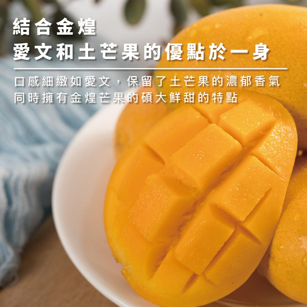 結合金煌，愛文和土芒果的優點於一身，口感細緻如愛文,保留了土芒果的濃郁香氣，同時擁有金煌芒果的碩大鮮甜的特點。