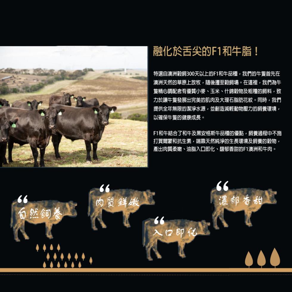 融化於舌尖的F1和牛脂!特選自澳洲穀飼300天以上的F1和牛品種,我們的牛隻首先在，澳洲天然的草原上放牧,隨後遷至穀飼場。在這裡,我們為牛，隻精心調配含有優質小麥、玉米、什錦穀物及粗糧的飼料,致，力於讓牛隻發展出完美的肌肉及大理石脂肪花紋。同時,我們