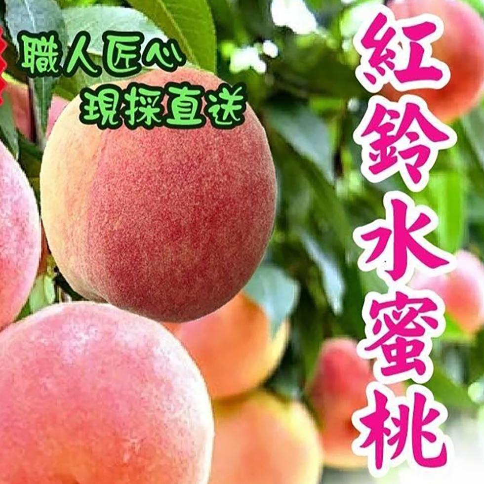 職人匠心，現採直送，紅给水蜜桃。