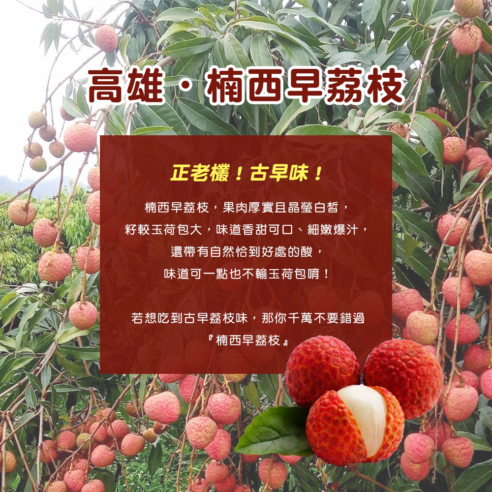 高雄·楠西早荔枝，正老欉!古早味!楠西早荔枝,果肉厚實且晶瑩白皙,籽較玉荷包大,味道香甜可口、細嫩爆汁,還帶有自然恰到好處的酸,味道可一點也不輸玉荷包唷!若想吃到古早荔枝味,那你千萬不要錯過，楠西早荔枝。