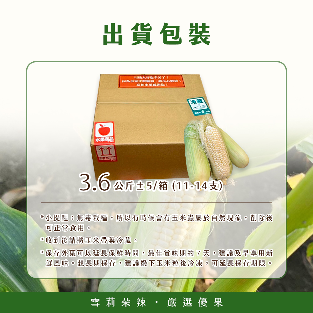出貨包裝, 水果商品,司機大哥您辛苦了!內為水果比較脆弱,請小心輕放!嘉和水果感謝您!3.6公斤±5/箱(11-14支),小提醒:無毒栽種,所以有時候會有玉米蟲屬於自然現象,削除後,可正常食用。收到後請將玉米帶葉冷藏。保存外葉可以延長保鮮時間,最佳賞