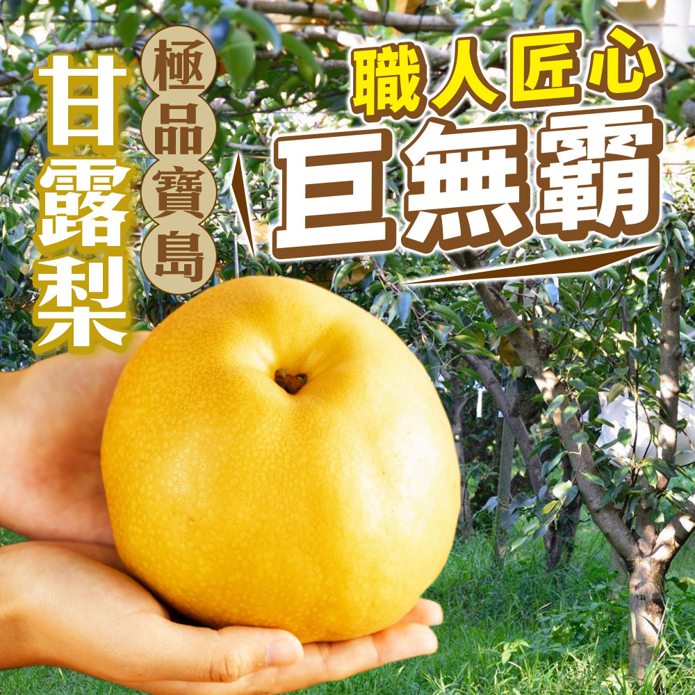 甘日 職人匠心,露巨無霸。
