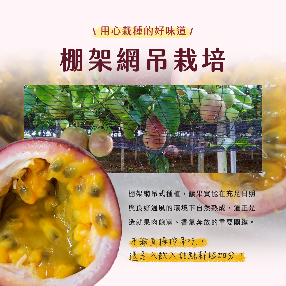 A用心栽種的好味道!棚架網吊栽培,棚架網吊式種植,讓果實能在充足日照,與良好通風的環境下自然熟成,這正是,造就果肉飽滿、香氣奔放的重要關鍵。不論直接挖著吃,還是入飲入甜點都超加分!!。