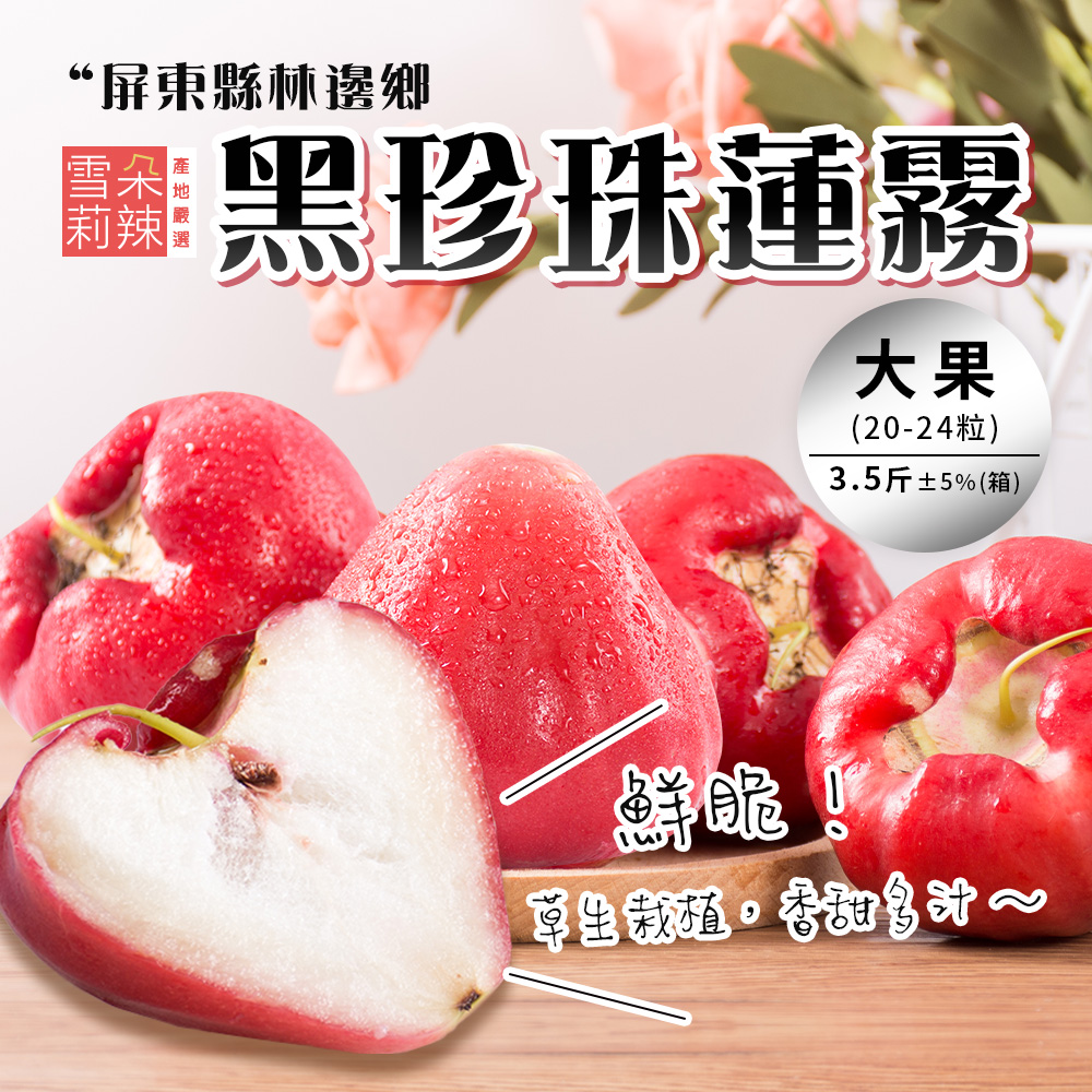 “屏東縣林邊鄉,黑珍珠蓮霧,(20-24粒),3.5斤±5%(箱),鮮脆!草生栽植。香甜多點~。